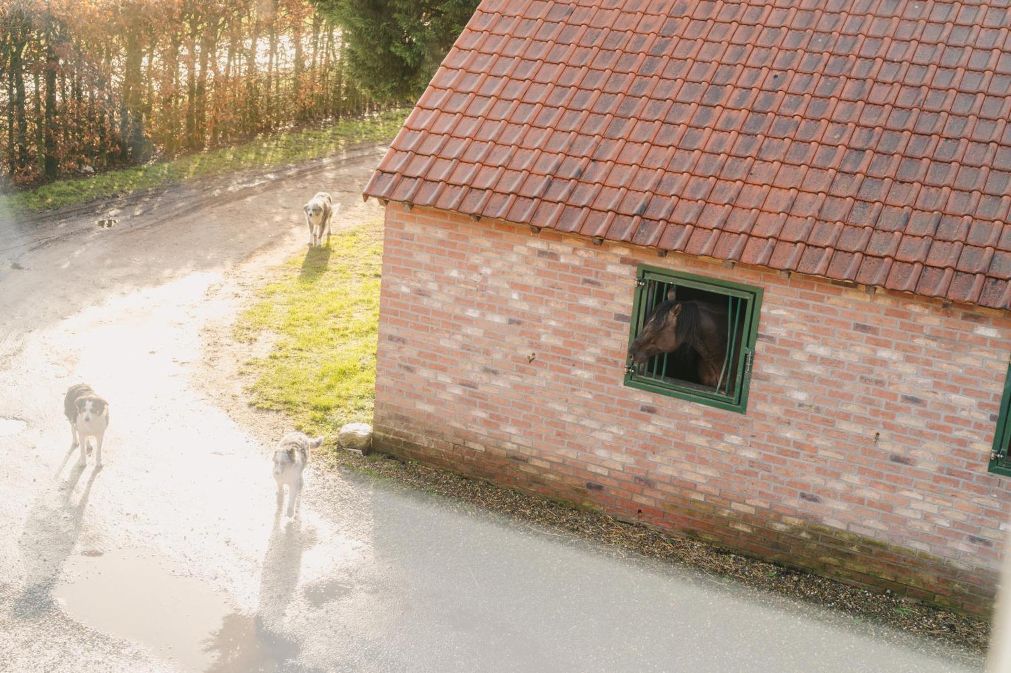 De Dommelhoeve Peer Exterior photo